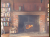 Jotul Oslo Model F500 Wood Stove